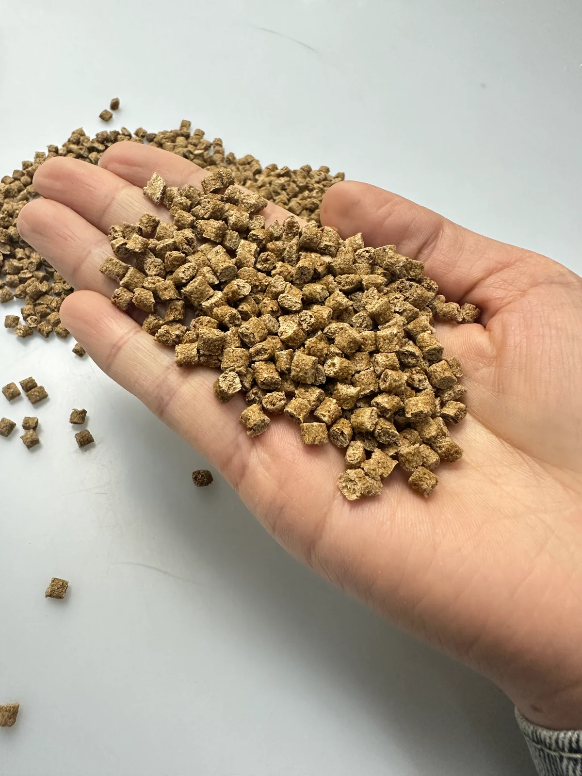 Rice husk fiber PP masterbatch pellets held in hand